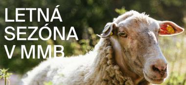 LETNÁ SEZÓNA V MMB